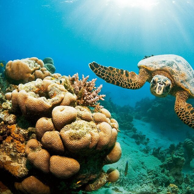 Marsa Alam