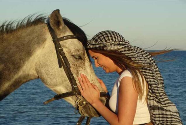 Przeżyj magiczną jazdę konną po pustyni arabskiej i brzegiem Morza Czerwonego! 🐎✨ Idealna atrakcja w Hurghadzie dla miłośników przygód i natury.