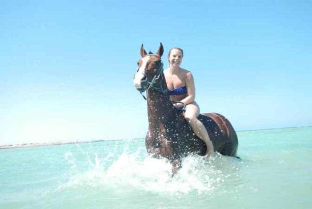 Przeżyj magiczną jazdę konną po pustyni arabskiej i brzegiem Morza Czerwonego! 🐎✨ Idealna atrakcja w Hurghadzie dla miłośników przygód i natury.
