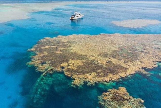 Całodniowa wycieczka jachtem z Marsa Alam – nurkowanie, snorkeling i lunch na pokładzie w Egipcie.