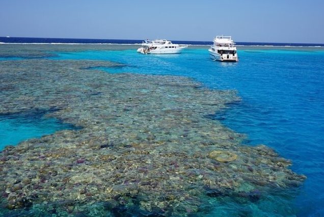 Snorkeling trip in Hurghada Red Sea – colorful coral reef with tropical fish and sea turtles