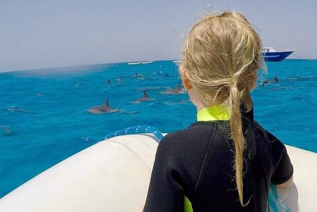 Całodniowy rejs jachtem z Marsa Alam – snorkeling, lunch w formie bufetu i relaks na Morzu Czerwonym.
