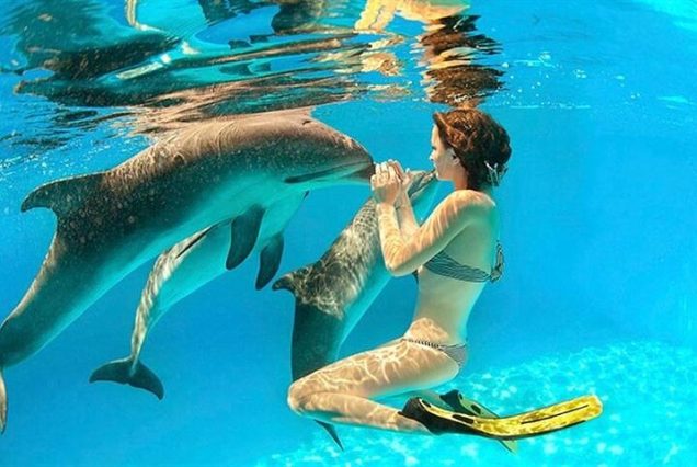Hurghada Dolphin House tour – snorkeling, dolphin watching, lunch, and water sports