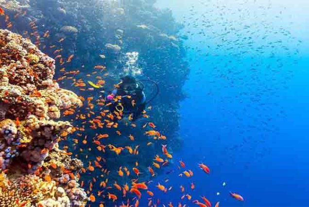 Hurghada scuba diving trip – certified divers exploring Red Sea coral reefs