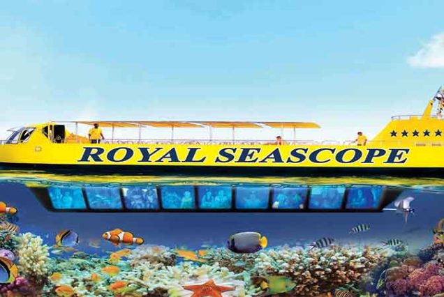 Snorkeling w Hurghadzie – kolorowe ryby i koralowce Morza Czerwonego