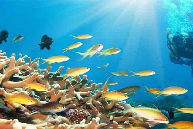 Beginner scuba diver in Hurghada Red Sea – learning to dive with instructor