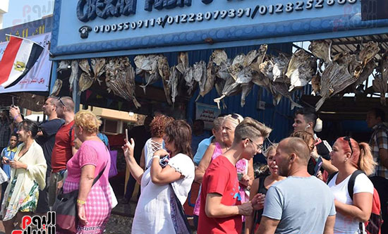Targ rybny w Hurghadzie – lokalne życie i świeże ryby od rybaków