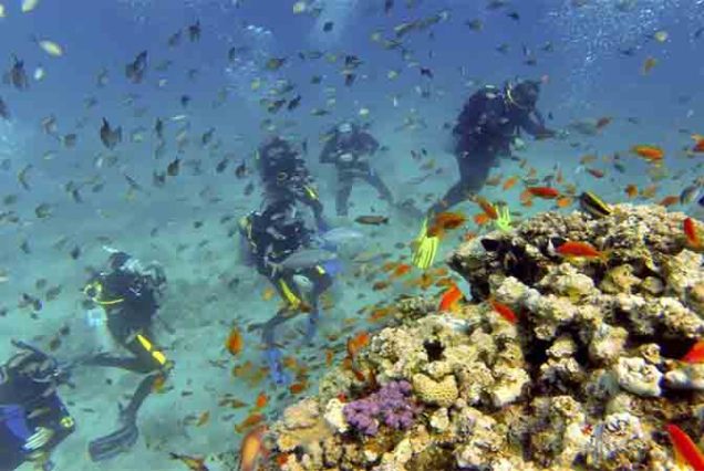 Hurghada Nurkowanie dla Certyfikowanych Nurków – Dwa Profesjonalne Zanurzenia w Morzu Czerwonym