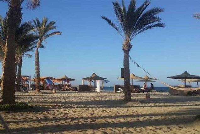 Wyjątkowe spotkanie z diugoniem podczas snorkelingu w Abu Dabbab, jedno z najlepszych miejsc w Marsa Alam.