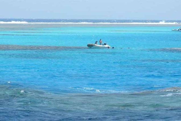 Alt Text: Plaża Abu Dabbab – złoty piasek, krystalicznie czysta woda i rafy koralowe, najlepsze miejsce na snorkeling w Marsa Alam.