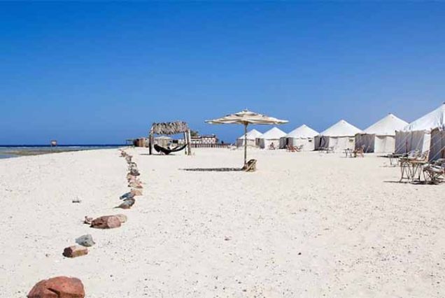 Snorkeling w Abu Dabbab – turysta pływa obok żółwia morskiego w Morzu Czerwonym, Marsa Alam Egipt.