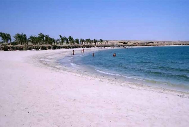 Kolorowa rafa koralowa i tropikalne ryby podczas wycieczki snorkelingowej w Abu Dabbab – Marsa Alam, Morze Czerwone.