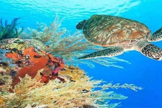 Rodzina zwiedzająca Hurghada Grand Aquarium – Czerwone Morze za szkłem, Egipt