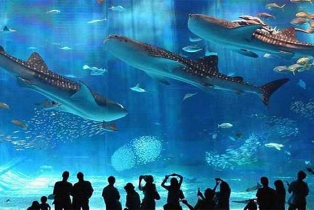 Rodzina zwiedzająca Hurghada Grand Aquarium – Czerwone Morze za szkłem, Egipt