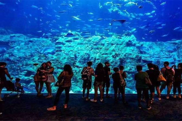 Rodzina zwiedzająca Hurghada Grand Aquarium – Czerwone Morze za szkłem, Egipt