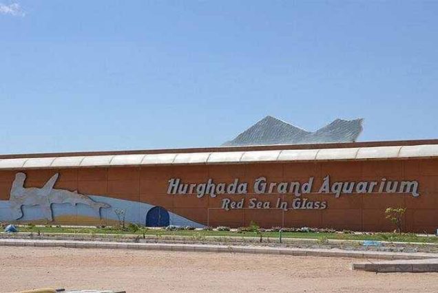 Rodzina zwiedzająca Hurghada Grand Aquarium – Czerwone Morze za szkłem, Egipt