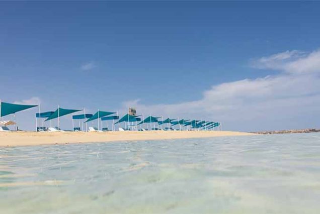 Rafy koralowe i bogate życie morskie wokół wyspy Bianca Island Egipt – raj dla miłośników nurkowania i snorkelingu.