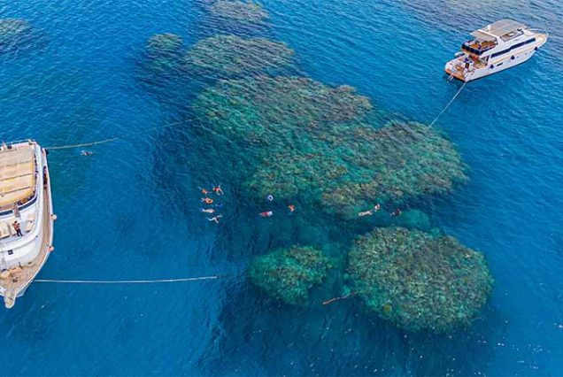 Snorkeling na wyspie Bianca (Utopia Island) – kolorowe rafy koralowe i egzotyczne ryby w Morzu Czerwonym, najlepsze wycieczki z Hurghady.