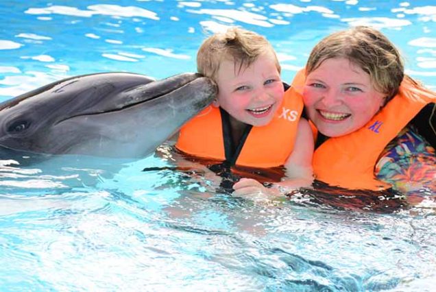 Pokaz delfinów Sharm El Sheikh – spektakularna atrakcja rodzinna w Dolphina Park