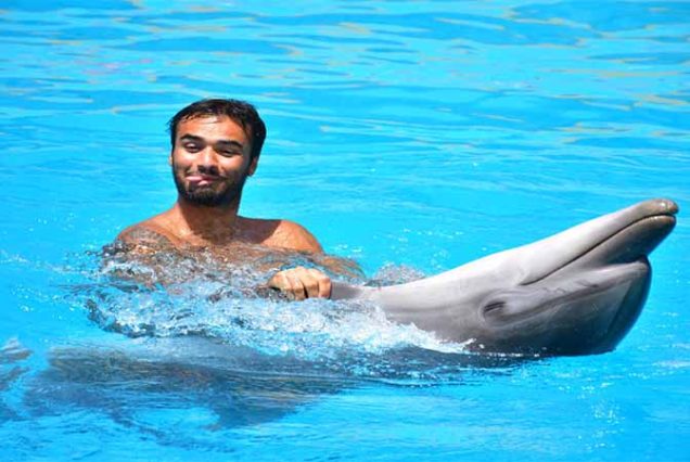 Zdjęcia z delfinami po pokazie w Dolphinarium Hurghada