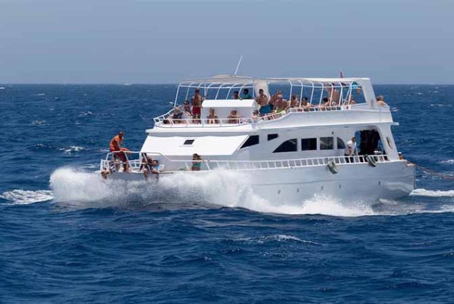 Rodzinna wycieczka snorkelingowa w Marsa Alam – bezpieczna atrakcja dla dorosłych i dzieci w Marsa Mubarak.