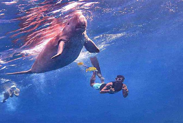 Marsa Alam nurkowanie dla początkujących – pierwsze zejście pod wodę z instruktorem w Morzu Czerwonym.