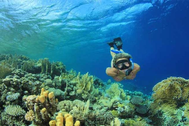 Lunch w formie bufetu i świeże owoce sezonowe podczas rejsu snorkelingowego w Marsa Mubarak – Marsa Alam Egipt.