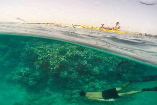 Biała plaża Sharm El Luli – rajskie miejsce w Marsa Alam
