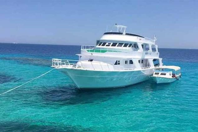 #HamataIsland, #MarsaAlam, #RedSea, #SnorkelingAdventure, #CoralReefs, #SwimWithDolphins, #MarineLife, #TravelEgypt, #BestTourOperatorMarsaAlam, #LuxuryBoatTrip, #HamataNationalPark, #RedSeaAdventure, #EgyptTours, #DivingEgypt, #MarsaAlamTrips