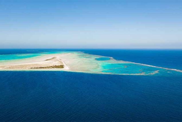 #HamataIsland, #MarsaAlam, #RedSea, #SnorkelingAdventure, #CoralReefs, #SwimWithDolphins, #MarineLife, #TravelEgypt, #BestTourOperatorMarsaAlam, #LuxuryBoatTrip, #HamataNationalPark, #RedSeaAdventure, #EgyptTours, #DivingEgypt, #MarsaAlamTrips