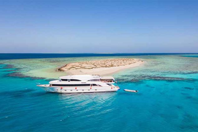 #HamataIsland, #MarsaAlam, #RedSea, #SnorkelingAdventure, #CoralReefs, #SwimWithDolphins, #MarineLife, #TravelEgypt, #BestTourOperatorMarsaAlam, #LuxuryBoatTrip, #HamataNationalPark, #RedSeaAdventure, #EgyptTours, #DivingEgypt, #MarsaAlamTrips