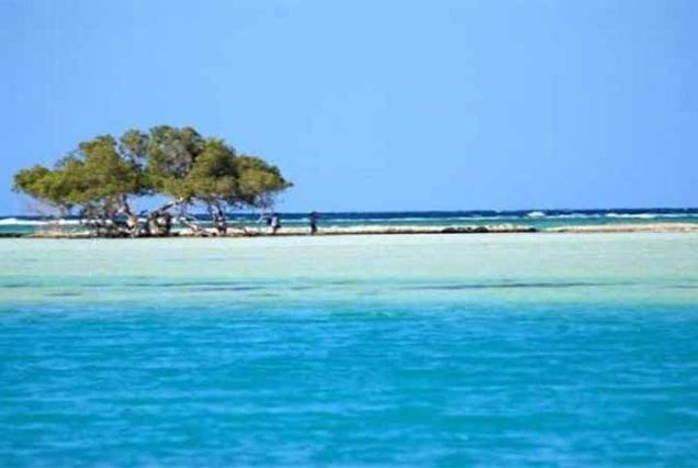 #HamataIsland, #MarsaAlam, #RedSea, #SnorkelingAdventure, #CoralReefs, #SwimWithDolphins, #MarineLife, #TravelEgypt, #BestTourOperatorMarsaAlam, #LuxuryBoatTrip, #HamataNationalPark, #RedSeaAdventure, #EgyptTours, #DivingEgypt, #MarsaAlamTrips