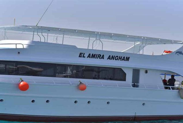 #HamataIsland, #MarsaAlam, #RedSea, #SnorkelingAdventure, #CoralReefs, #SwimWithDolphins, #MarineLife, #TravelEgypt, #BestTourOperatorMarsaAlam, #LuxuryBoatTrip, #HamataNationalPark, #RedSeaAdventure, #EgyptTours, #DivingEgypt, #MarsaAlamTrips