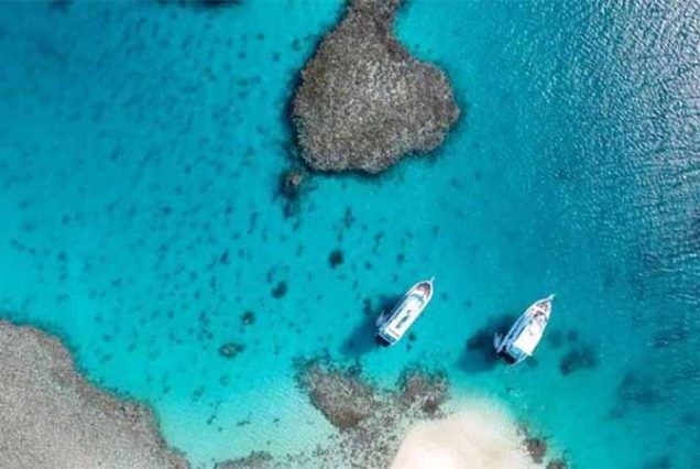 #HamataIsland, #MarsaAlam, #RedSea, #SnorkelingAdventure, #CoralReefs, #SwimWithDolphins, #MarineLife, #TravelEgypt, #BestTourOperatorMarsaAlam, #LuxuryBoatTrip, #HamataNationalPark, #RedSeaAdventure, #EgyptTours, #DivingEgypt, #MarsaAlamTrips