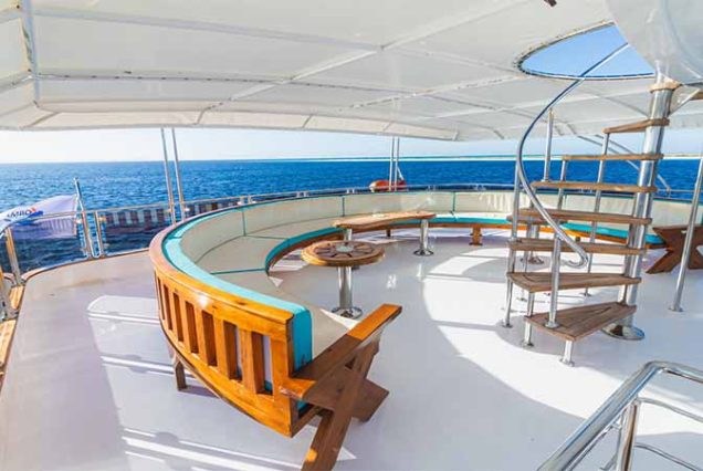 #HamataIsland, #MarsaAlam, #RedSea, #SnorkelingAdventure, #CoralReefs, #SwimWithDolphins, #MarineLife, #TravelEgypt, #BestTourOperatorMarsaAlam, #LuxuryBoatTrip, #HamataNationalPark, #RedSeaAdventure, #EgyptTours, #DivingEgypt, #MarsaAlamTrips