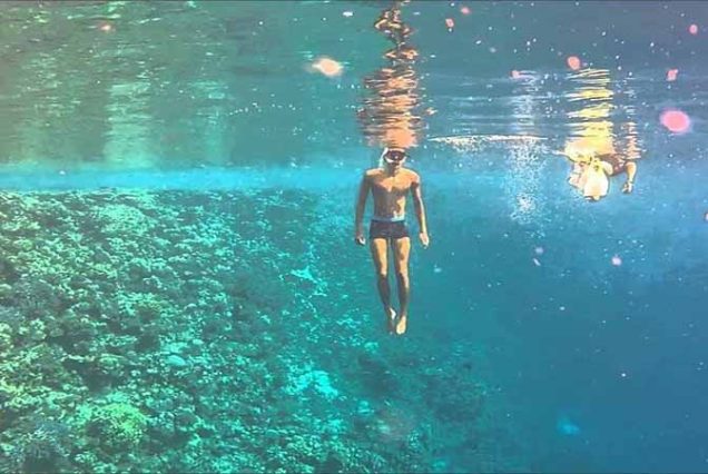 Snorkeling w Sharm El Luli Marsa Alam – kolorowe ryby i rafa koralowa