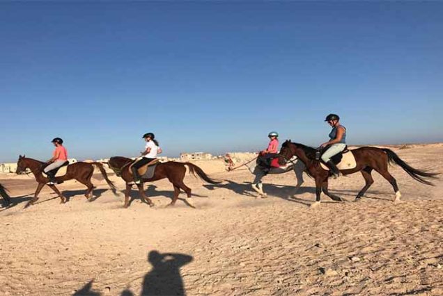 Horse riding in Hurghada desert dunes toward the Red Sea