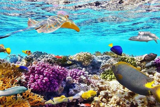 Luksusowy rejs na wyspę Orange Bay z Hurghady – snorkeling w Morzu Czerwonym, białe plaże, turkusowa woda i lunch na jachcie. Najlepsza wycieczka w Egipcie.