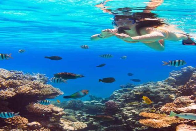 Luksusowy rejs na wyspę Orange Bay z Hurghady – snorkeling w Morzu Czerwonym, białe plaże, turkusowa woda i lunch na jachcie. Najlepsza wycieczka w Egipcie.